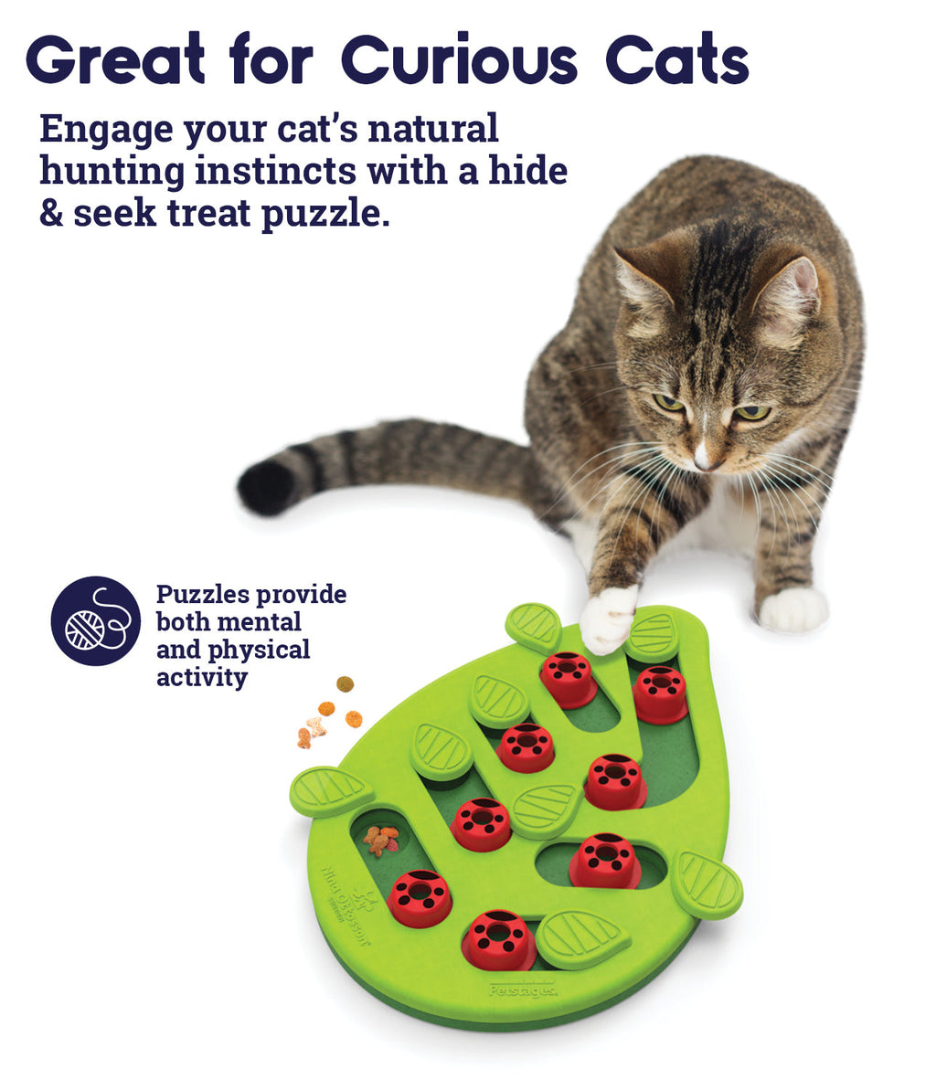 Buggin' Out Puzzle & Play Cat Game